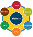 7th Wellness